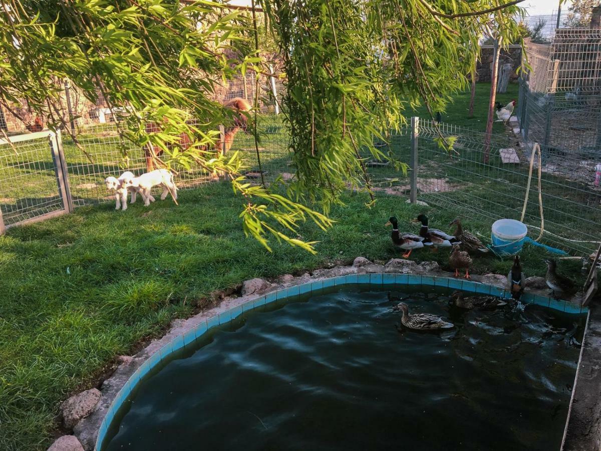 Assos Alis Farm Boutique Hotel & Spa מראה חיצוני תמונה