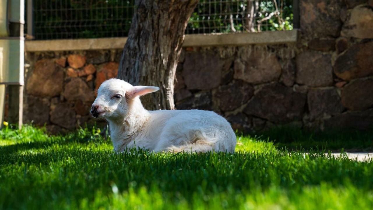 Assos Alis Farm Boutique Hotel & Spa מראה חיצוני תמונה