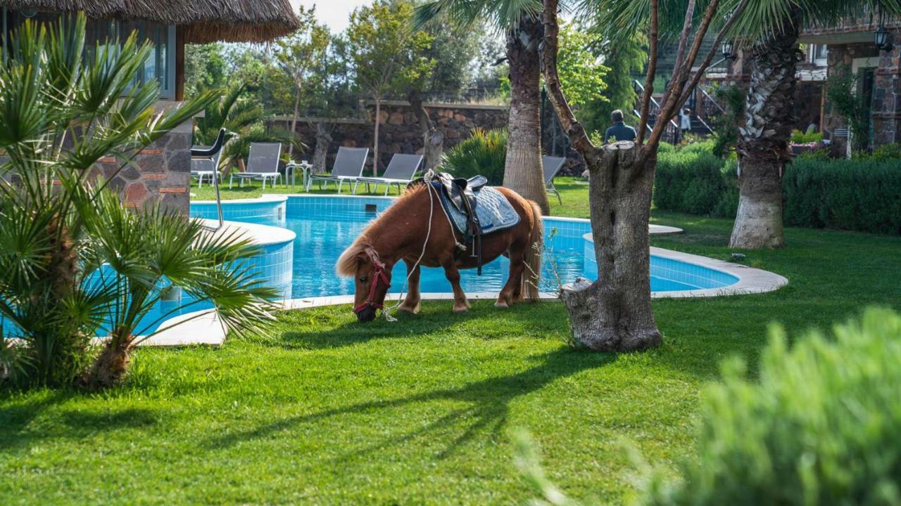 Assos Alis Farm Boutique Hotel & Spa מראה חיצוני תמונה