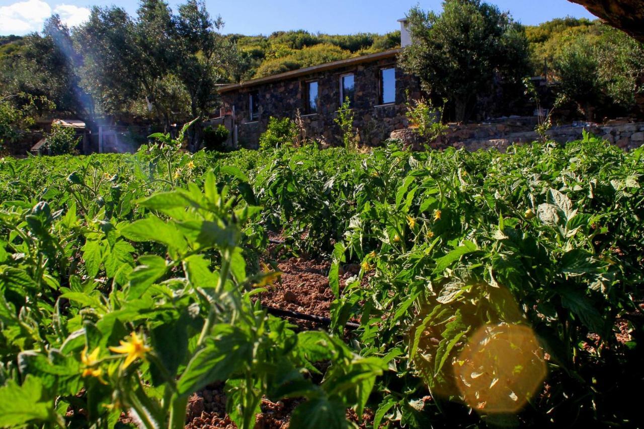 Assos Alis Farm Boutique Hotel & Spa מראה חיצוני תמונה