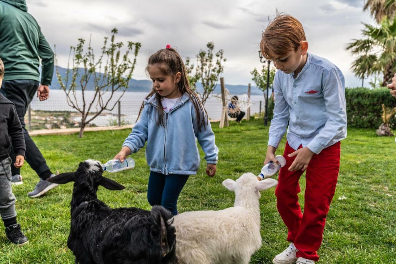 Assos Alis Farm Boutique Hotel & Spa מראה חיצוני תמונה